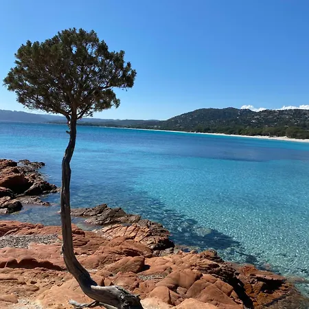 Apartment Vecchio Location Estivale Spacieux 100 M2 Porto-Vecchio (Corsica)